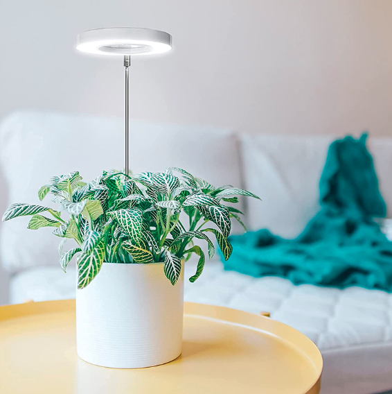 Adjustable Plant Lamp with Timer